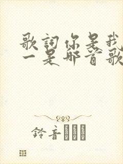 歌词你是我的唯一是哪首歌的歌词