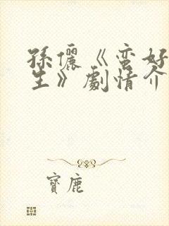 孙俪《蛮好的人生》剧情介绍