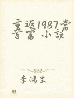 重返1987当首富 小说