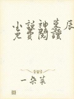 小说神墓辰东的免费阅读