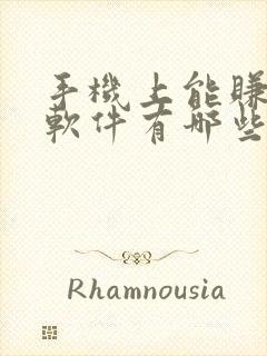 手机上能赚钱的软件有哪些