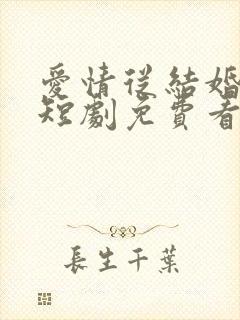 爱情从结婚开始短剧免费看