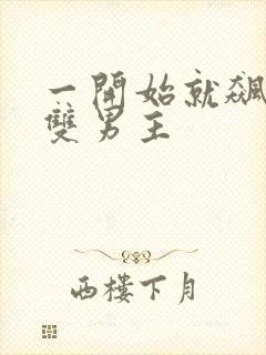 一开始就飙车的双男主