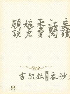 顾婉禾江妄舟小说免费阅读最新章节