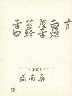 舌苔厚白有齿痕口干舌燥