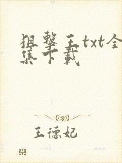 狙击王txt全集下载