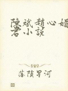 陈斌赵心媚高婉君小说