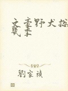 文豪野犬总共有几季