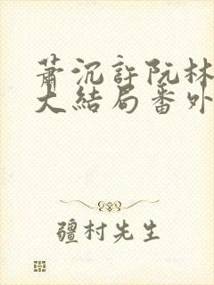 萧沉许阮林依然大结局番外