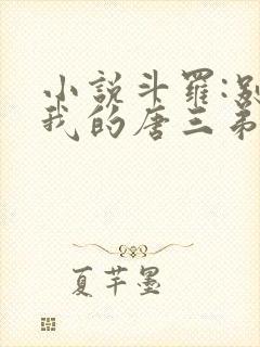 小说斗罗:别动我的唐三弟弟下载