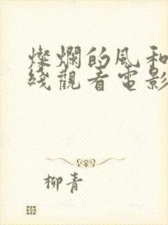 灿烂的风和海在线观看电影免费高清版