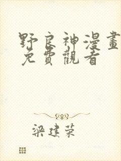 野良神漫画全集免费观看