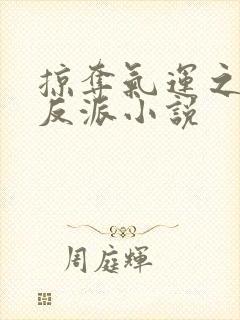 掠夺气运之子的反派小说