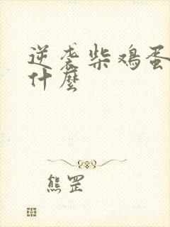 逆袭柴鸡蛋讲了什么