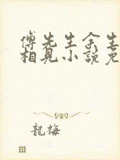 傅先生余生不再相见小说免费阅读