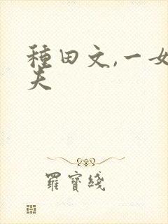 种田文,一女多夫