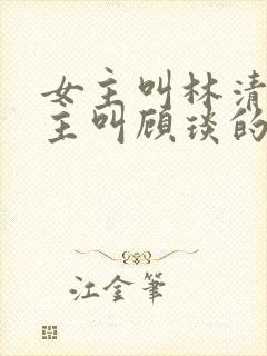 女主叫林清浅男主叫顾琰的小说