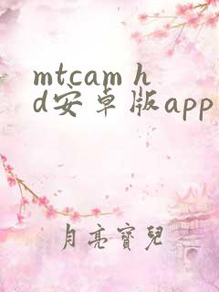 mtcam hd安卓版app下载