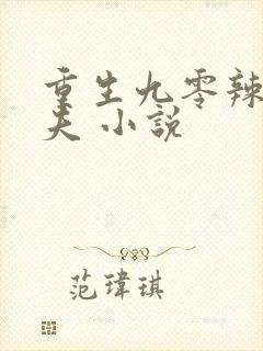 重生九零辣妻追夫 小说