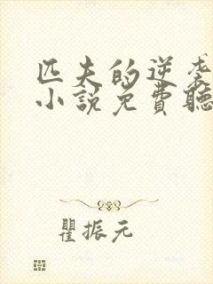 匹夫的逆袭有声小说免费听