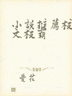 小说推荐校园甜文校霸