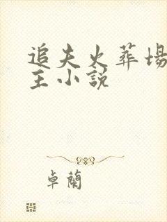 追夫火葬场双男主小说