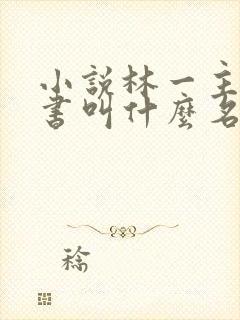 小说林一主角的书叫什么名字