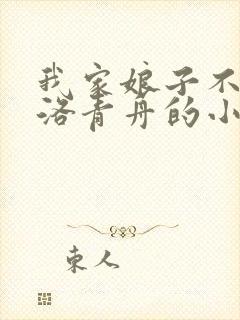 我家娘子不对劲洛青舟的小说
