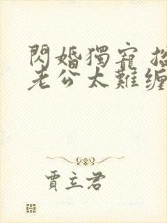 闪婚独宠 总裁老公太难缠全本