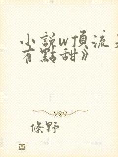 小说w顶流夫妇有点甜》