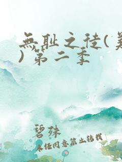 无耻之徒(美版) 第二季