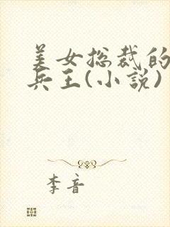 美女总裁的贴身兵王(小说)