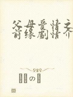 父母爱情之再续前缘剧情介绍