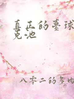 真正的台球斯诺克池