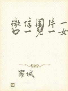 微信图片一家四口一儿一女