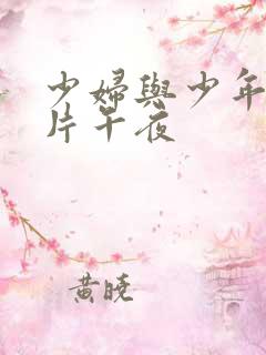 少妇与少年理论片午夜