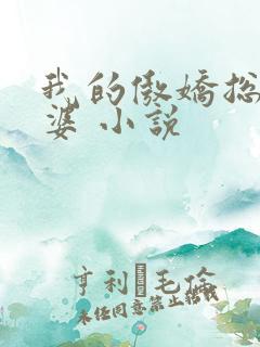 我的傲娇总裁老婆 小说