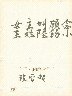 女主叫顾念念男主姓陆的小说