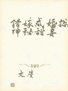 错嫁成婚总裁的神秘甜妻