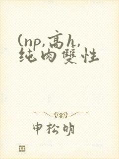 (np,高h,纯肉双性