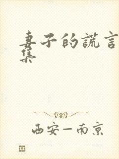 妻子的谎言有几集