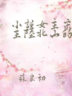 小说女主宋楚男主陆北山的小说