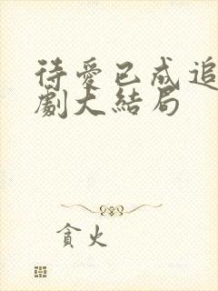 待爱已成追忆短剧大结局