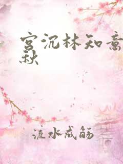 宫沉林知意宋婉秋