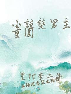 小说双男主破镜重圆