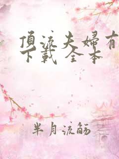 顶流夫妇有点甜下载 全本