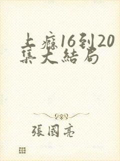 上瘾16到20集大结局