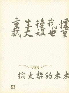 重生后我怀疑总裁大姐也重生了