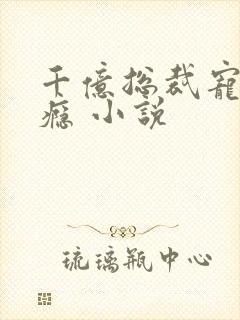 千亿总裁宠妻成瘾 小说