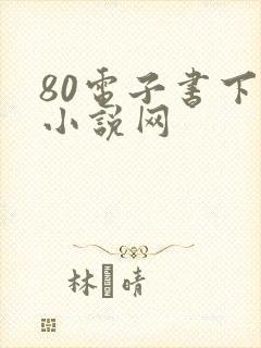 80电子书下载小说网